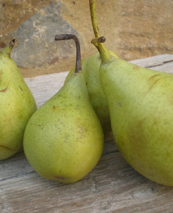 Aigua