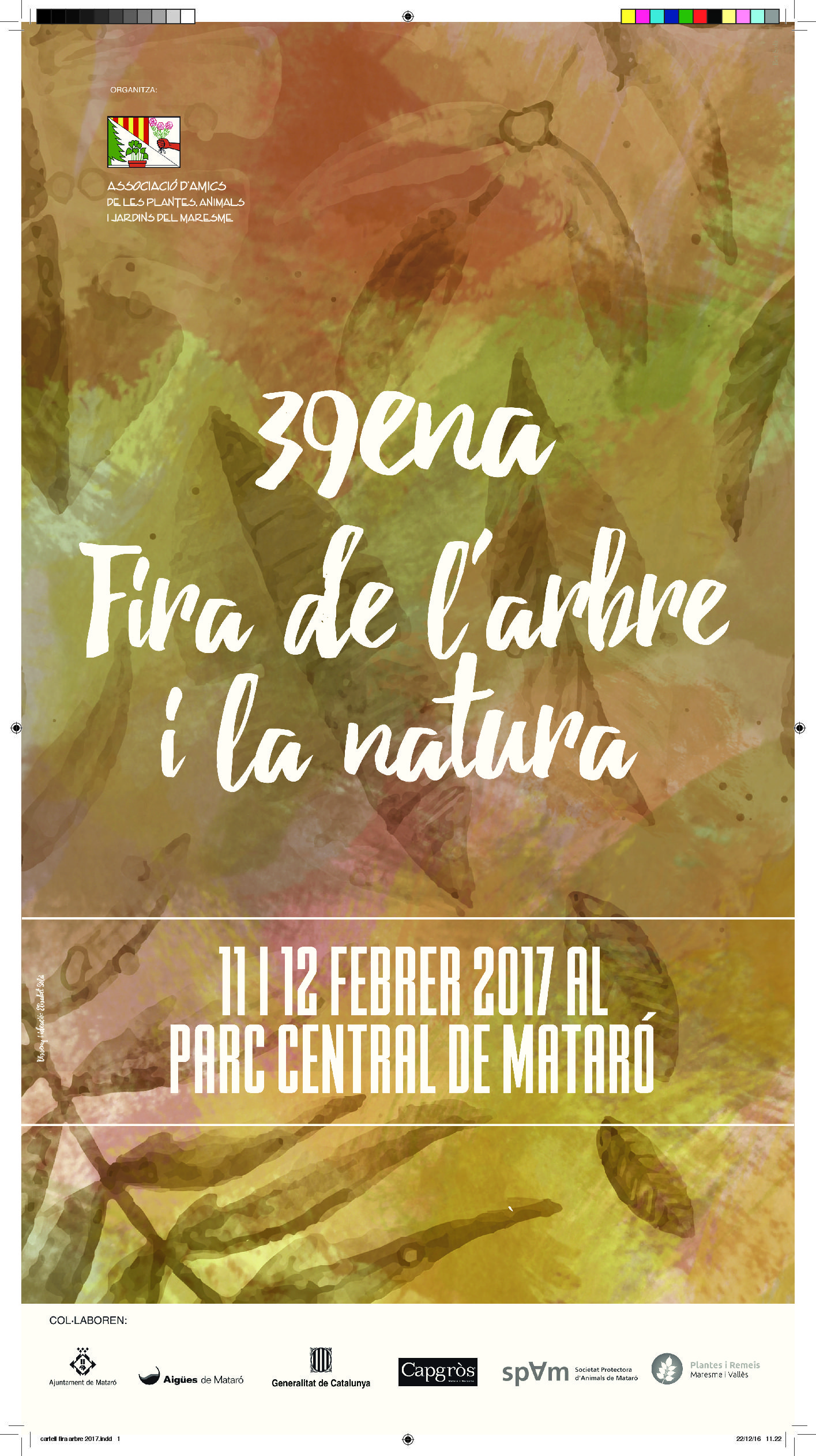 39ª Fira de l’arbre de Mataró