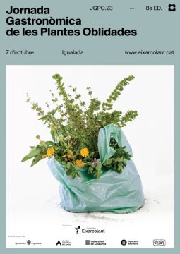Taller d’empelts de fruiters tradicionals