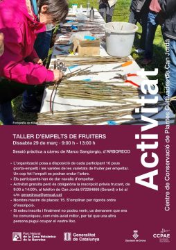 Taller d’empelts de fruiters